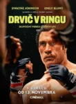 Drvič v ringu