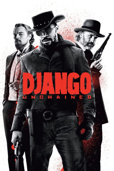 Divoký Django