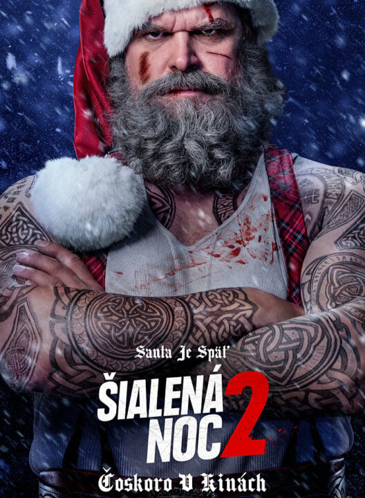 Šialená noc 2